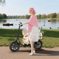 Foldable Electric Scooter with Seat and Basket, 500W Peak Motor, 48V/10.4Ah Rechargeable Battery, LED Headlight, Rear Disc Brakes, Dual Shock Absorbers, Adjustable Height, Customizable Size, 22MPH Max Speed, 28Miles Max Range