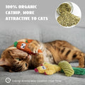 Pawsible 5 Pack Cactus Cat Toy Set, 100% Premium Cat Herb Filling, Natural Stimulation for Cats, Durable for Teething, Perfect Kitten Toy