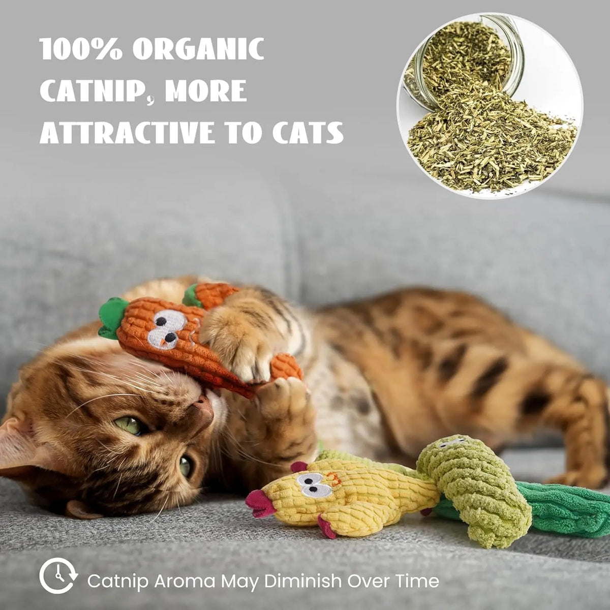 Pawsible 5 Pack Cactus Cat Toy Set, 100% Premium Cat Herb Filling, Natural Stimulation for Cats, Durable for Teething, Perfect Kitten Toy