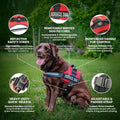 Service Dog Vest with Hook and Loop Straps & Matching Service Dog Leash Set - Harnesses from XXS to XXL - Harness Features Reflective Patch and Comfortable Mesh Design