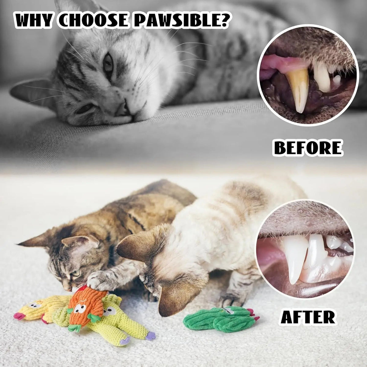 Pawsible 5 Pack Cactus Cat Toy Set, 100% Premium Cat Herb Filling, Natural Stimulation for Cats, Durable for Teething, Perfect Kitten Toy