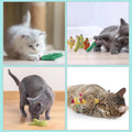 Pawsible 5 Pack Cactus Cat Toy Set, 100% Premium Cat Herb Filling, Natural Stimulation for Cats, Durable for Teething, Perfect Kitten Toy