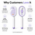 【Not Straightened】Electric Spray Air Cushion Massage Comb, Self-Cleaning Anti-Tangle Hair Brush, Anti-Static Volumizing Scalp Massage Brush for Dry Frizzy Hair Care, No Essential Oil Included